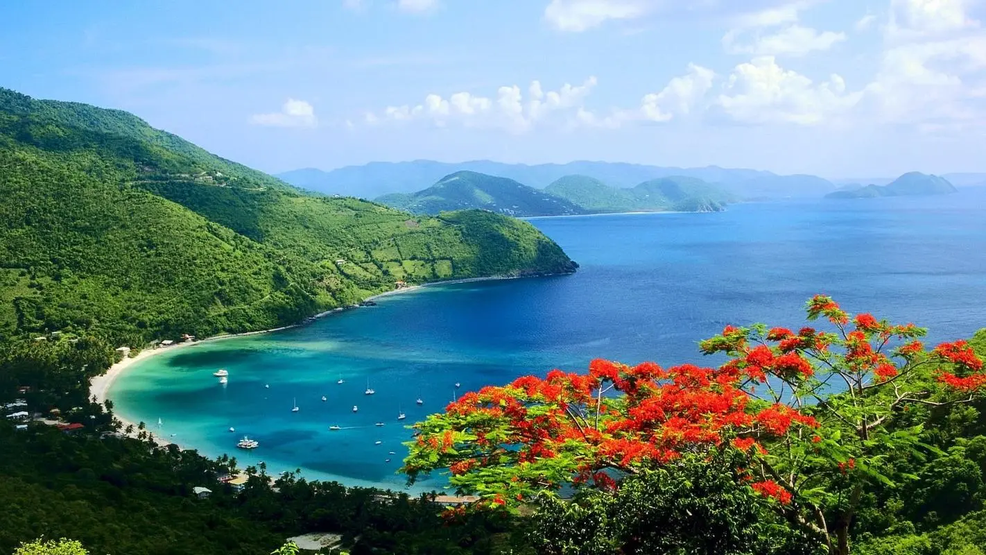 高质量智能智能化